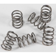 CLUTCH SPRINGS CSK197