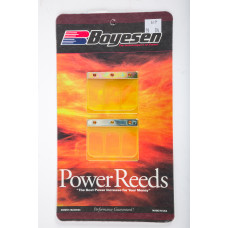 MOTORCYCLE REEDS