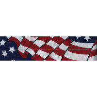 COOLDANNA WAVY AMERICAN FLAG