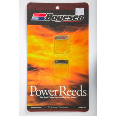 MOTORCYCLE REEDS