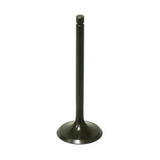 INTAKE VALVE
