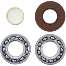 MAIN BEARING AND SEAL KIT POL