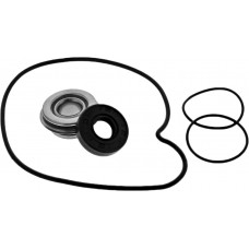 WATER PUMP KIT POL