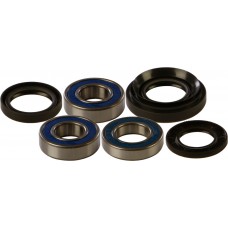 WHEEL BEARING & SEAL KIT