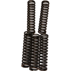 CLUTCH SPRINGS CSK110