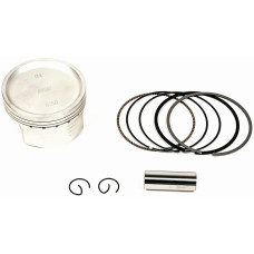 PISTON KIT - 195CC BORE KIT