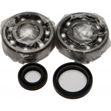 CRANKSHAFT BEARING/SEAL KIT