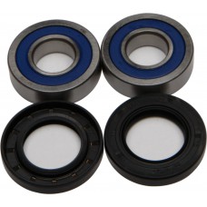 WHEEL BEARING & SEAL KIT