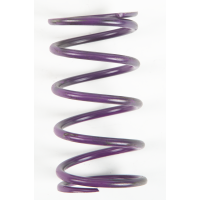 PURPLE SPRING
