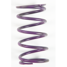 PURPLE SPRING