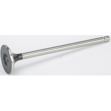 EXHAUST VALVE