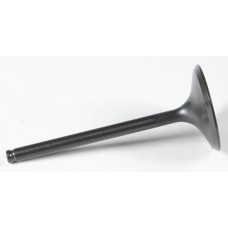 BLACK DIAMOND INTAKE VALVE