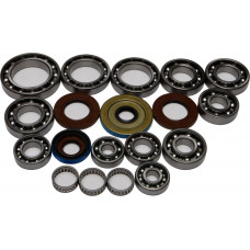 DIFFERENTIAL BEARING AND SEAL KIT