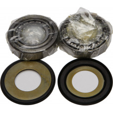 STEERING BEARING/SEAL KIT