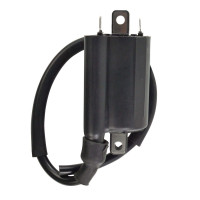 EXTERNAL IGNITION COIL EXTERNAL IGNITION COIL