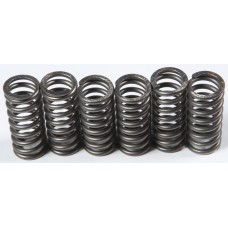 CLUTCH SPRINGS CSK210