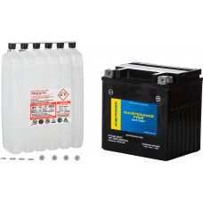 BATTERY CTX30L-BS-FT MAINTENANCE FREE