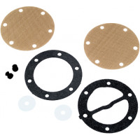 FUEL PUMP REPAIR KIT DUAL