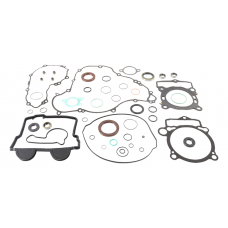 COMPLETE GASKET SET WITH OIL SEALS