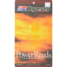 MOTORCYCLE REEDS