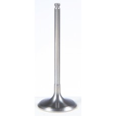 INTAKE TI VALVE