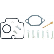 CARBURETOR REPAIR KIT