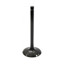 INTAKE VALVE