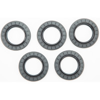 WET CLUTCH OIL SEAL TWIN CAM 5/PK OE#12052DL