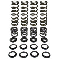 DUAL RATE SPRING KIT POL DUAL RATE SPRING KIT POL