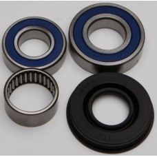 CHAIN CASE BEARING & SEAL KIT