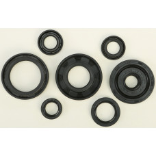 OIL SEAL SET