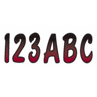 SERIES 200 REGISTRATION KIT (BURGUNDY/BLACK)