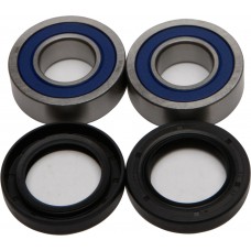 WHEEL BEARING & SEAL KIT