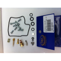 CARBURETOR REPAIR KIT