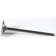 BLACK DIAMOND INTAKE VALVE BLACK DIAMOND INTAKE VALVE