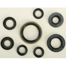 OIL SEAL SET
