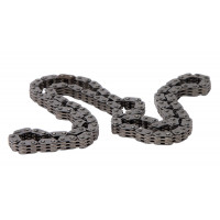CAM CHAIN