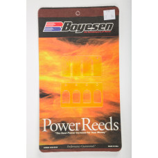 MOTORCYCLE REEDS