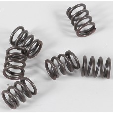 CLUTCH SPRINGS CSK21