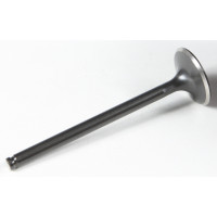 BLACK DIAMOND EXHAUST VALVE