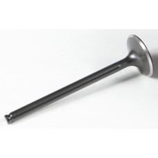 BLACK DIAMOND EXHAUST VALVE