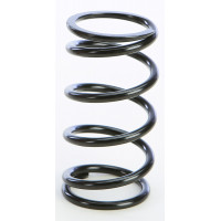 PRIMARY CLUTCH SPRING BLACK