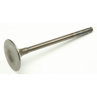 INTAKE VALVE