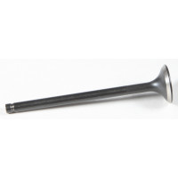 BLACK DIAMOND EXHAUST VALVE