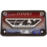 LIGHTED LICENSE PLATE BOLT NATURAL