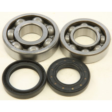 CRANKSHAFT BEARING/SEAL KIT