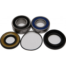 WHEEL BEARING & SEAL KIT