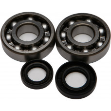 CRANKSHAFT BEARING/SEAL KIT