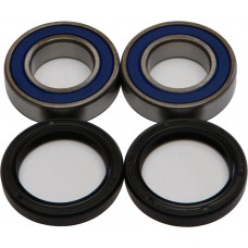 WHEEL BEARING & SEAL KIT