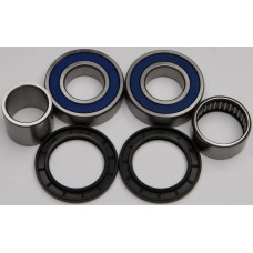 REAR WHEEL BEARING KIT